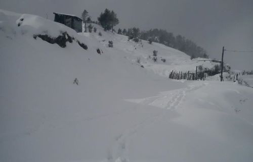 Snowfall in Himachal