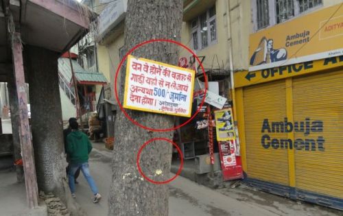 Shimla