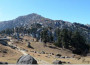 Churdhar