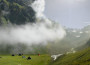 Great Himalayan National Park