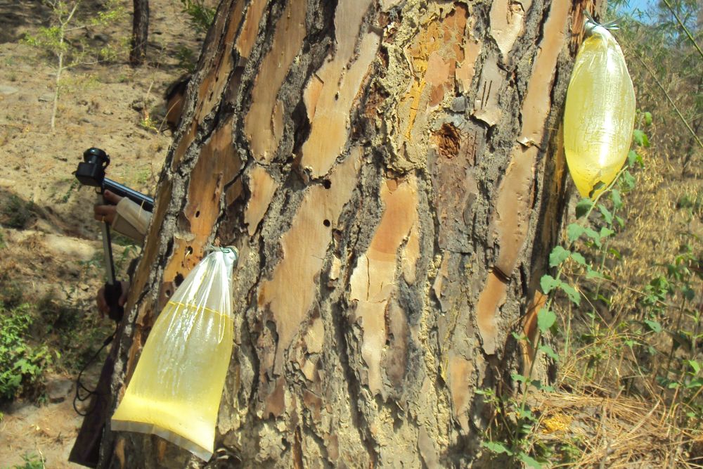 The News Himachal Borehole Resin Extraction method to minimize damage